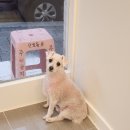 보리미용실 - 관악구 | 보리미용실