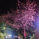 오케이디씨마트