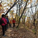 제 319회 일요걷기(11월16일) 광명 도덕산 오르고 인공폭포 스피돔 산책로 기찻길따라 수자원생태습지공원 푸른수목원 걷다1 (참가자 명단) 이미지