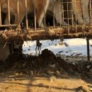 라파엘농장 이미지