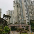 수지성복SL동물병원 이미지