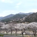 하동시장1 | 경남 하동 감성숙소 스테이화개 내돈내산 후기 (하동 반값여행 지원)