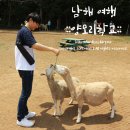 본죽 함안점 | 경남 남해 가볼만한곳 '양모리학교' 양떼목장 다녀왔어요.