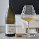 종찬사 | 피에르 부아송 부르고뉴 블랑 (Pierre Boisson Bourgogne Blanc) 2022
