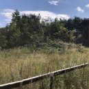 서신펜션 이미지