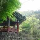 용진산마애여래좌상 Daum카페