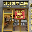 베베하루 이미지