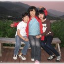 섬진다원 이미지