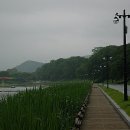 태백안동축산 이미지