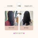 대구 수성구 만촌동 헤어샵추천 | 모발클리닉 후기 아이디헤어
