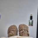 사라  네일&뷰티 | 부천패디플래닝 진짜 만족! 임산부도 편안했던 부천 사라왁싱 솔직후기