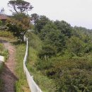 바다사랑 펜션 이미지