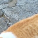 판암동225 이미지