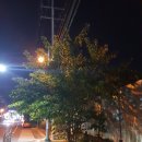 의창구청 안전건설과 이미지