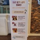 싱싱그린마트내도담축산 | [부산] 키자니아 종일권 이용 후기