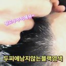 두피에 남지 않는 블랙염색? 이제 염색 후 ‘검은 두피’는 옛말입니다 르네시떼미용실에서는말이죠! / 감전주례사상하단백양다대김해개금당감화 이미지