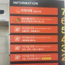 울산 미서울치과의원 사랑니 발치 후기 /울산 사랑니 발치 추천