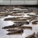 소쿠리농장 이미지