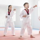 주니어7태권도 이미지
