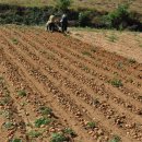 대관령면사무소 이미지