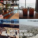 거북빌딩 | [경기도 시흥] 내 돈 내산 일몰이 예쁜 오션뷰 거북 섬 해밀화