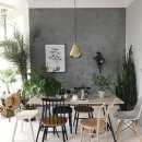 플랜테리어 이미지