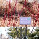 한솔뜰근린공원 이미지