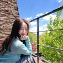 [제천] 포레스트 리솜 S30 헤브나인 스파 내돈내산 후기