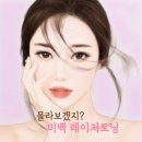 삼부의원 이미지