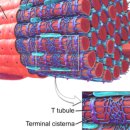 피트니스 FM 이미지