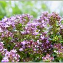 강원하수구 이미지