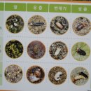 보은달 이미지