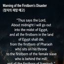 130 D. 출애굽기 11 : 1-10 구별과 사명 20260510 이미지