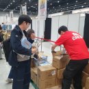 퍼펙트게임랜드 | 2024 보드게임 페스타 후기