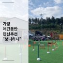 니케펜션 | [가평] 내 돈내고 다녀온 “보니하니애견펜션” 애견동반 펜션 후기