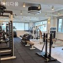 피티다움 이미지