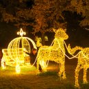 체육관로74번길 이미지