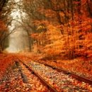 동인당한의원 이미지