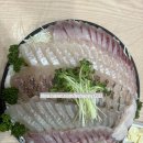 박영철 사시미 이미지