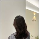 또헤어 네이버블로그
