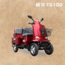 베가모터스 이미지