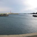 주상절리대 이미지