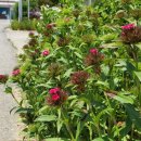 일신리경로당 이미지