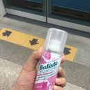 바디스트 이미지