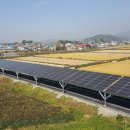 아산시 자전거도로(신창면) 이미지