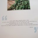 연수송도역전시장 네이버블로그