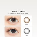 눈사랑 위드렌즈 이미지