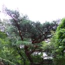 청산휴계소 | 문경새재길, 문경새재 과거길