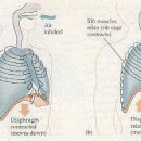 다주한의원 이미지
