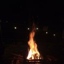 159 | 충북오토캠핑장 추천🌲 힐링 가득 괴산 승암159 캠핑장 후기